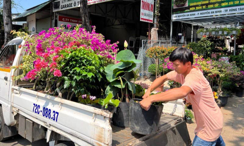 Dịch vụ đi kèm khi kinh doanh cây cảnh