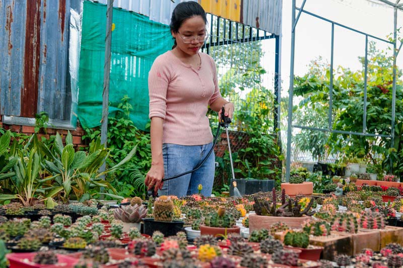 Tự chăm sóc, trồng cây cây để kinh doanh