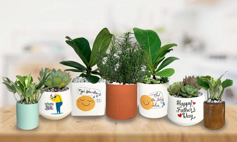 Hình ảnh sản phẩm giúp bạn bán hàng dễ hơn
