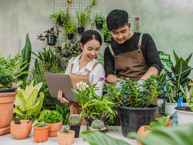 Kinh doanh cây cảnh mini: Con đường làm giàu nhanh chóng