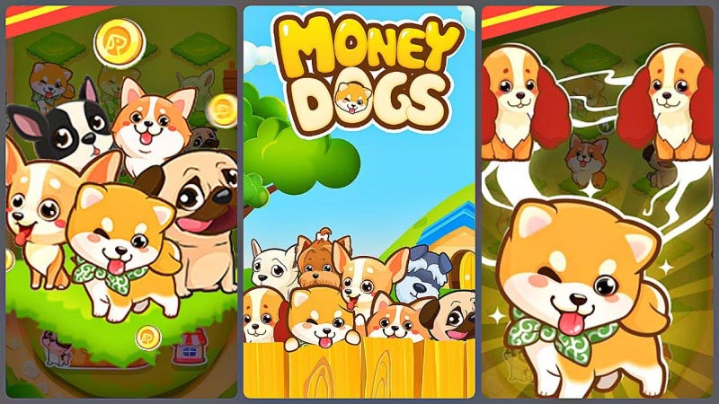 Money Dog - Game online kiếm tiền dễ nhất 