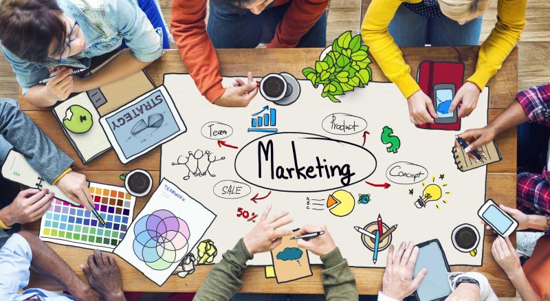 Nhân viên Marketing có vai trò rất quan tọng trong công ty, doanh nghiệp