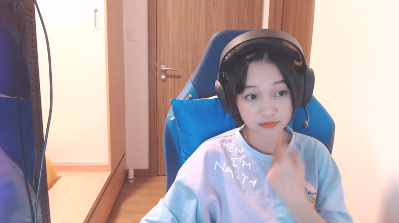 Streamer/ Livestreamer