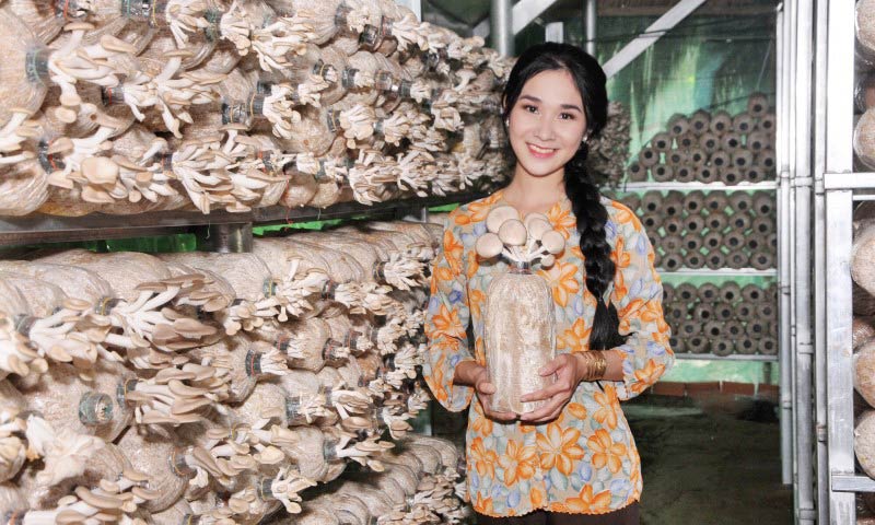 Trồng nấm mang lại khả năng sinh lời đáng kể
