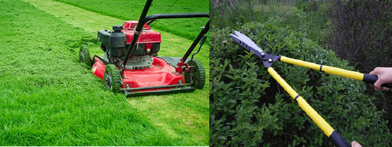 Phụ giúp hàng xóm cắt cỏ cũng là một cách để kiếm tiền