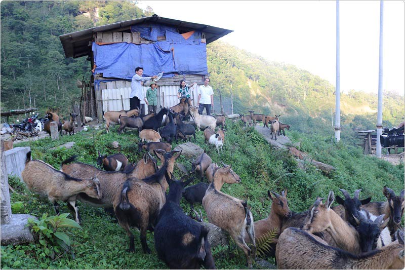 Làm giàu từ nghề nuôi động vật hoang dã