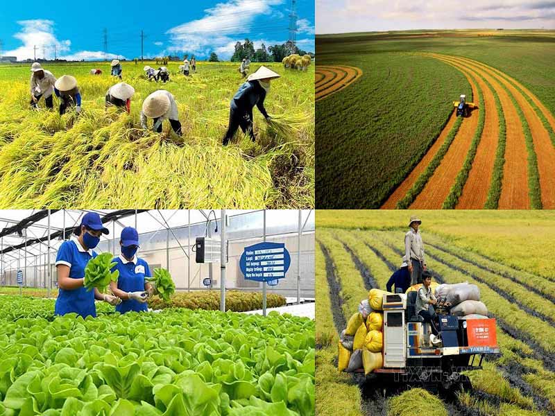 Lợi ích khi lựa chọn kinh doanh ở quê