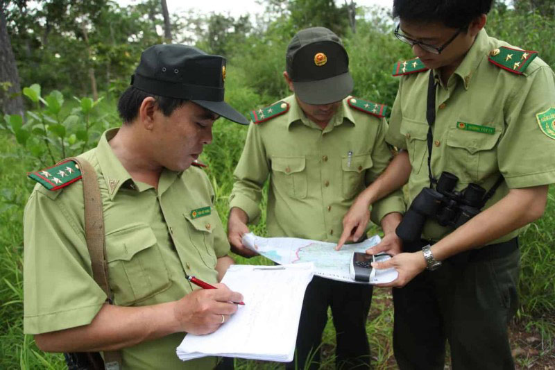 Ngành kiểm lâm là một trong những lựa chọn tốt cho những người có tính cách chậm chạp