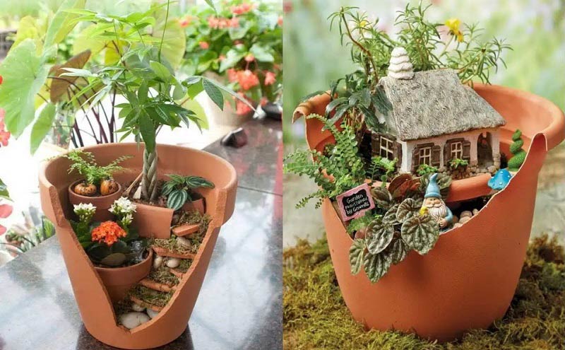 Kinh doanh cây cảnh mini là một lựa chọn tuyệt vời cho những người có số vốn 30 triệu