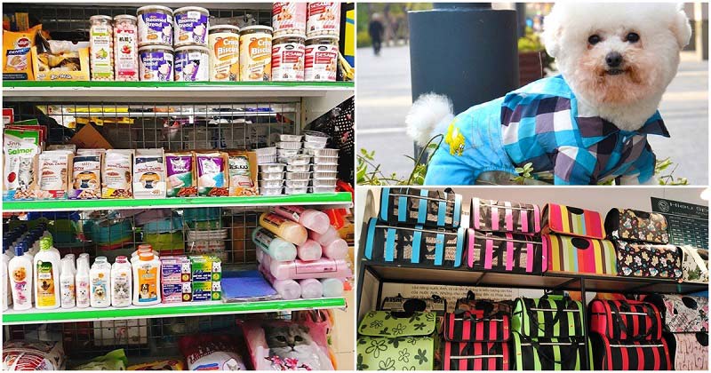 Kinh doanh thực phẩm cho thú cưng đang trở thành một nguồn thu hấp dẫn đối với nhiều người trẻ ngày nay