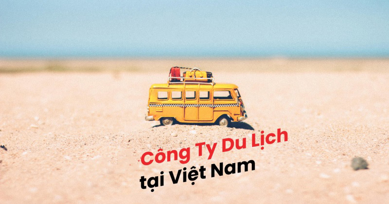 Công ty du lịch
